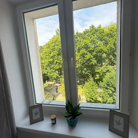 The Urban Oasis Apartment
